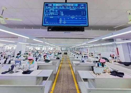 平湖躋身全省“兩化”融合20強，數(shù)字文化創(chuàng)意內(nèi)容應用服務嶄露頭角